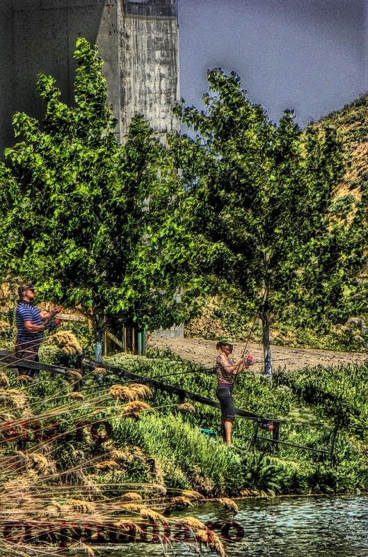 Party Cup - 2013 - 0000006hdrmode2.JPG